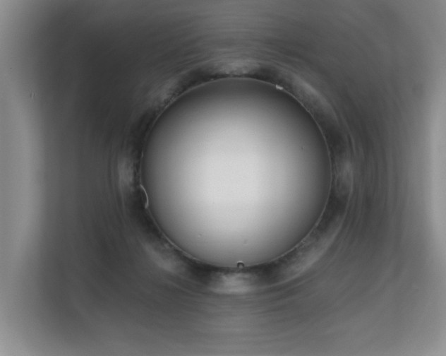 X0000110720268200906121434