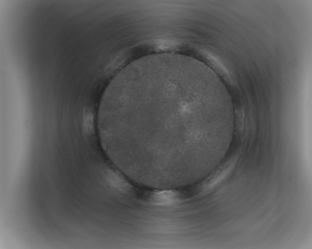 X0000110720269200906121434