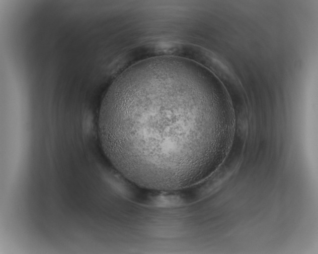 X0000110720270200906121434