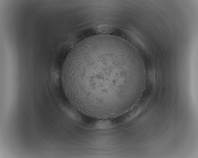 X0000110720271200906121434