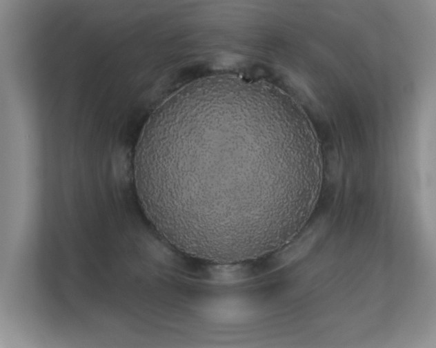 X0000110720273200906121434