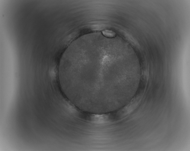 X0000110720277200906121434