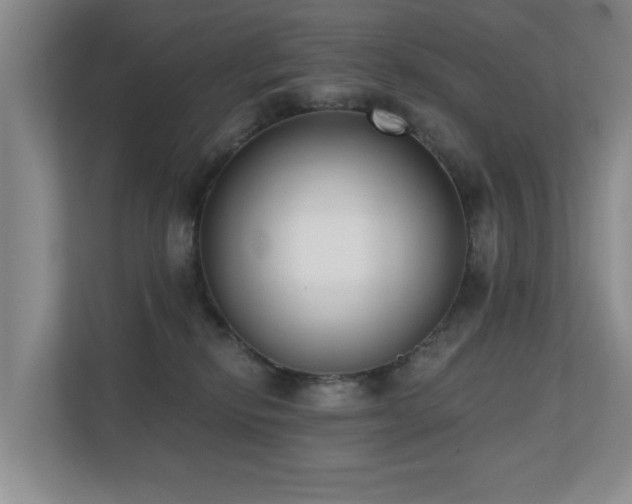 X0000110720278200906121434
