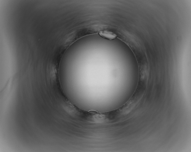 X0000110720279200906121434