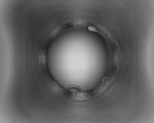 X0000110720282200906121434