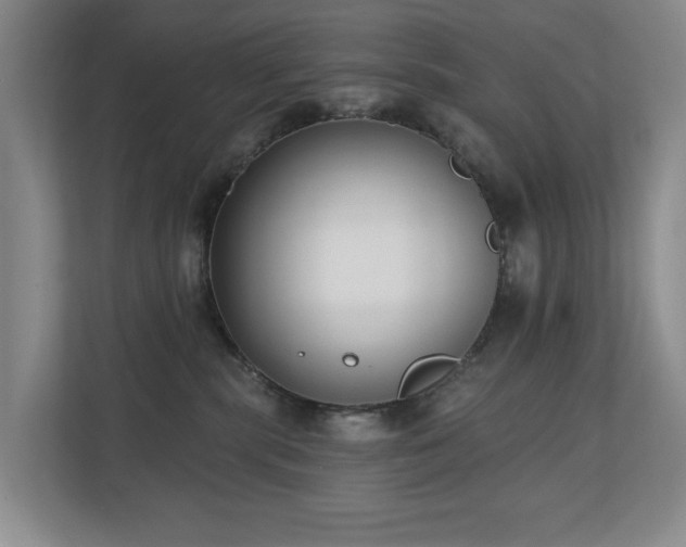 X0000110720283200906121434