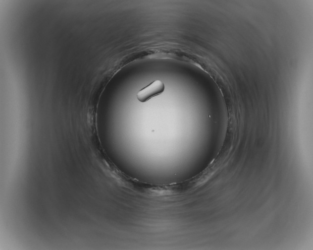 X0000110720284200906121434