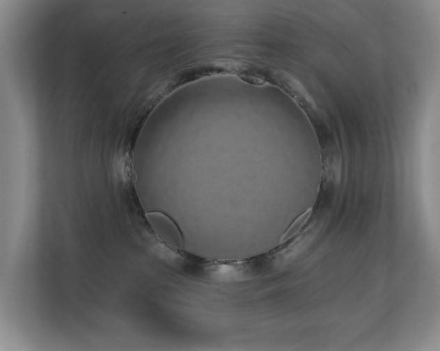 X0000110720285200906121434