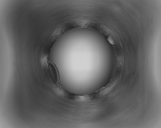 X0000110720286200906121434