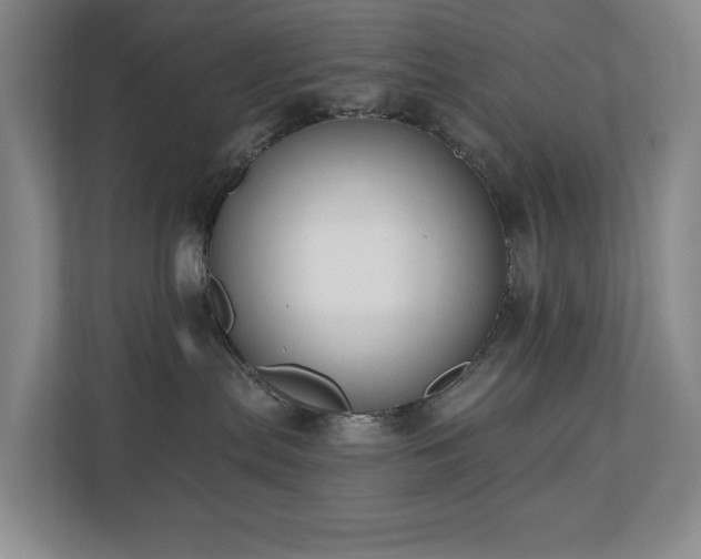 X0000110720287200906121434