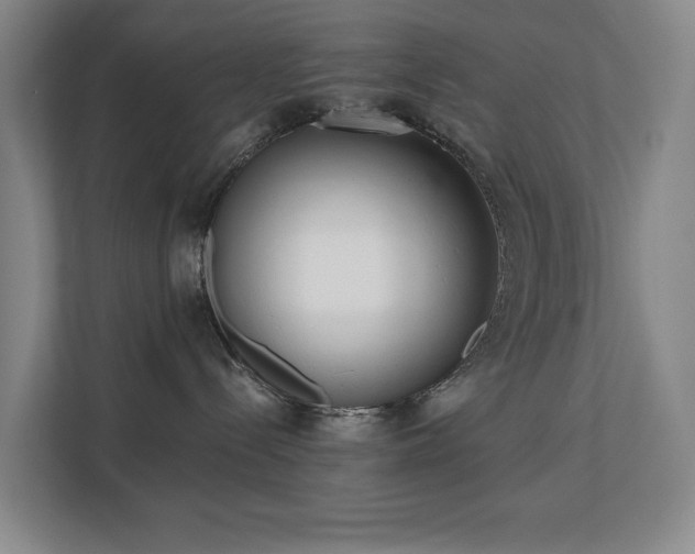 X0000110720288200906121434