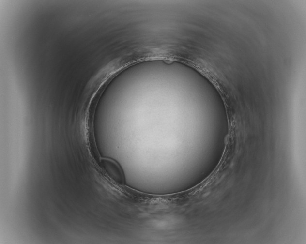 X0000110720290200906121434