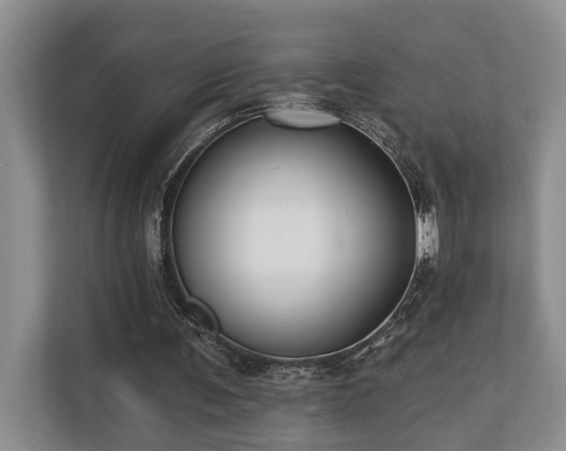 X0000110720291200906121434