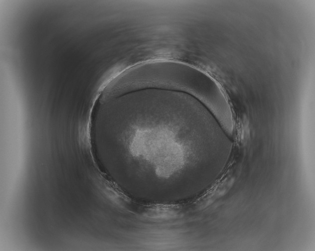 X0000110720292200906121434
