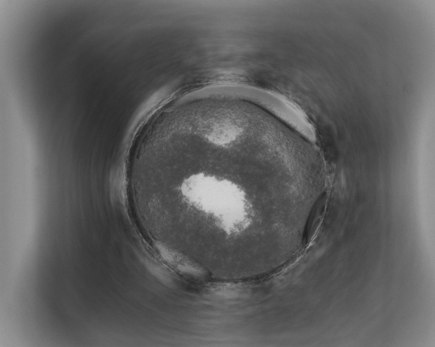 X0000110720293200906121434