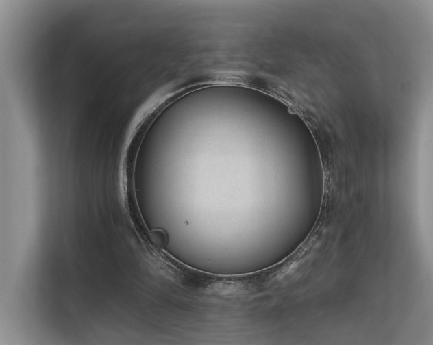 X0000110720294200906121434