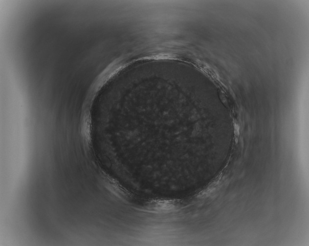 X0000110720295200906121433