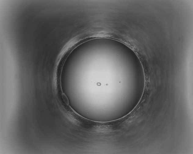 X0000110720296200906121433