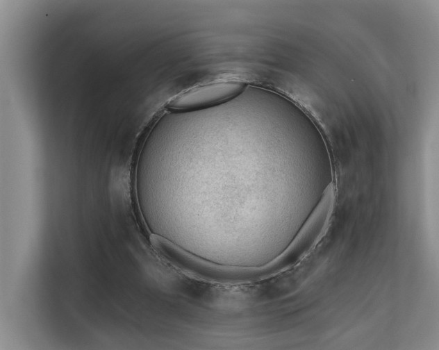 X0000110720297200906121433