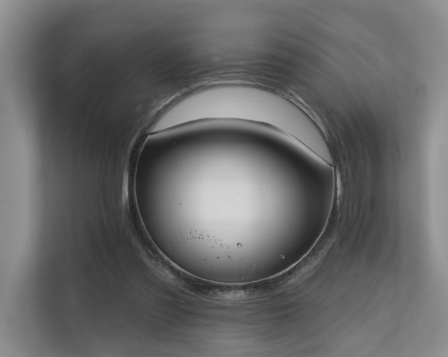 X0000110720301200906121433