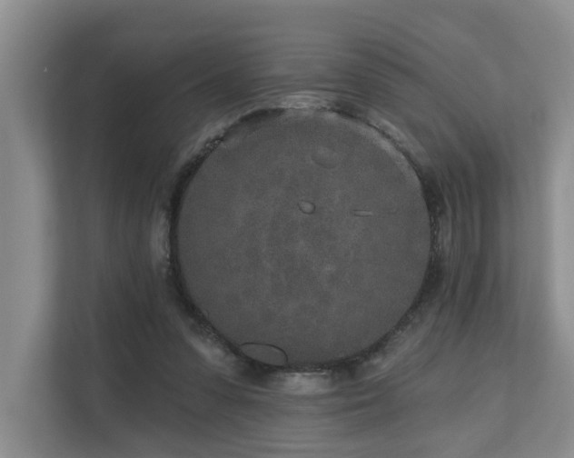 X0000110720303200906121433