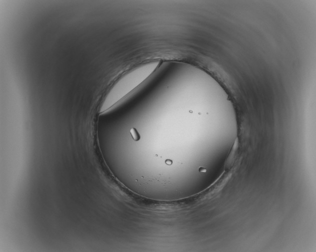 X0000110720305200906121433