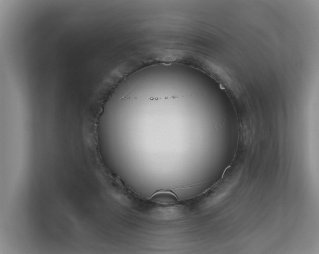 X0000110720307200906121433