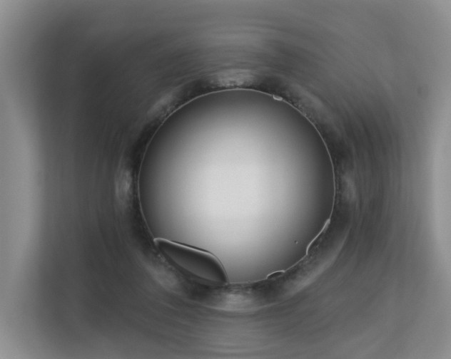 X0000110720308200906121433