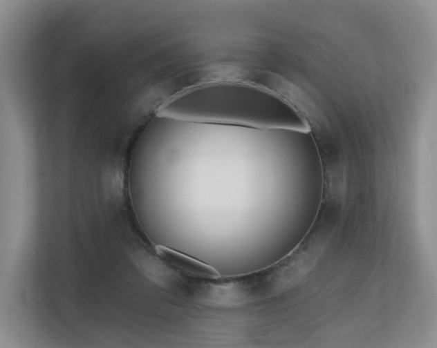 X0000110720309200906121433