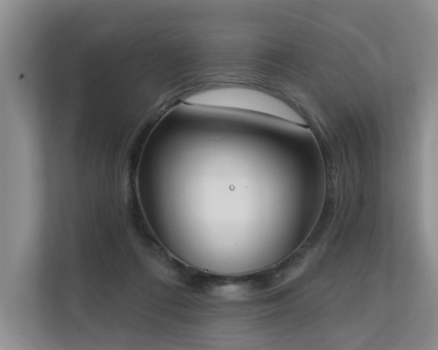 X0000110720312200906121433