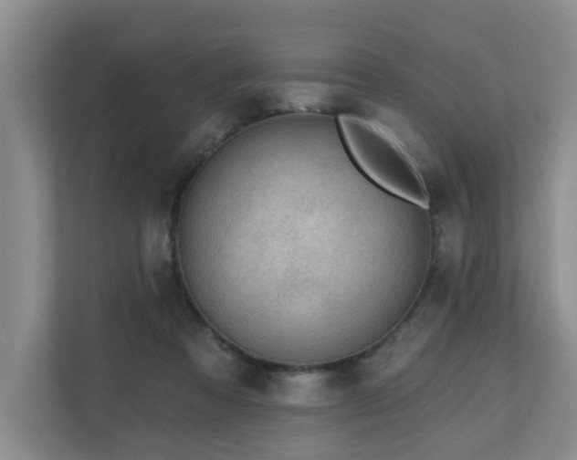 X0000110720313200906121433