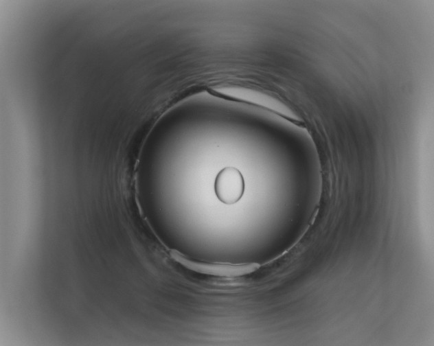 X0000110720316200906121433