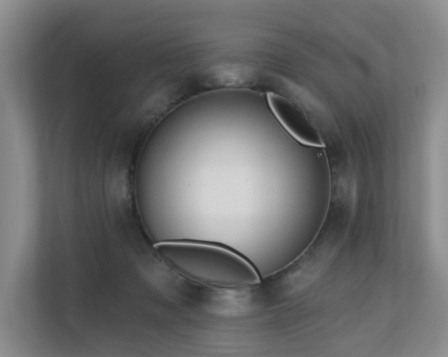 X0000110720317200906121433