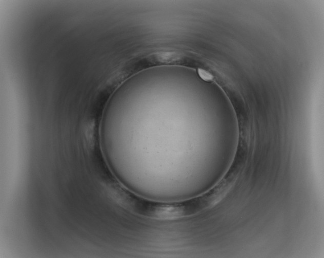 X0000110720319200906121433