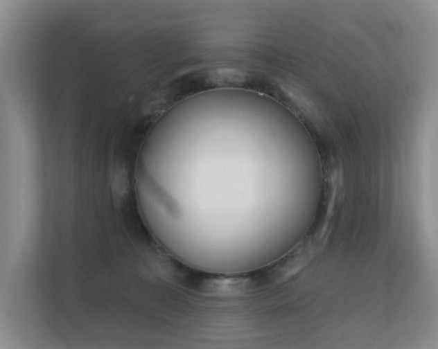 X0000110720323200906121433