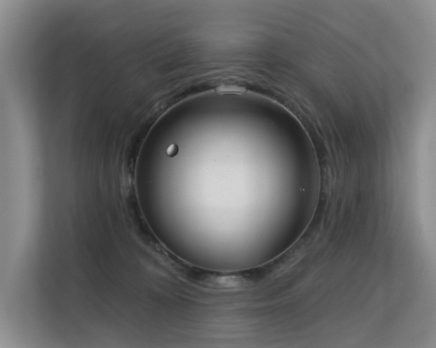 X0000110720324200906121433