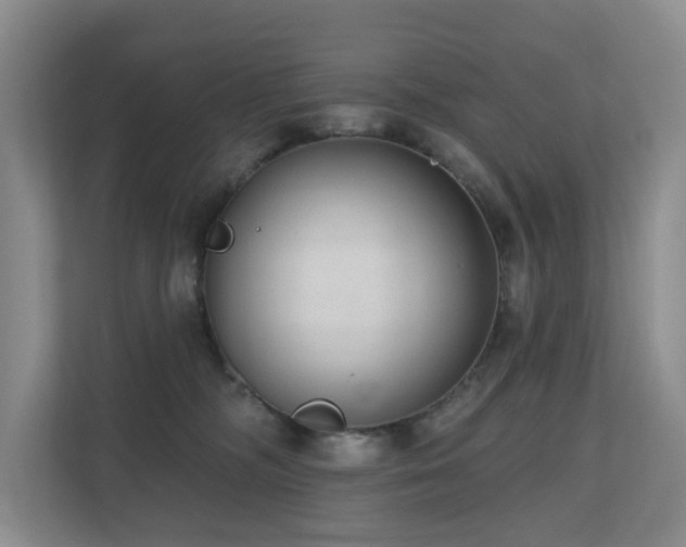 X0000110720326200906121433