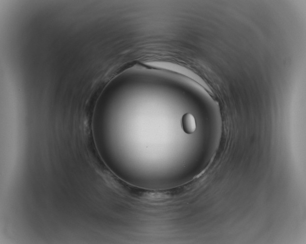X0000110720327200906121433