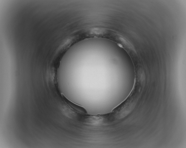 X0000110720328200906121433