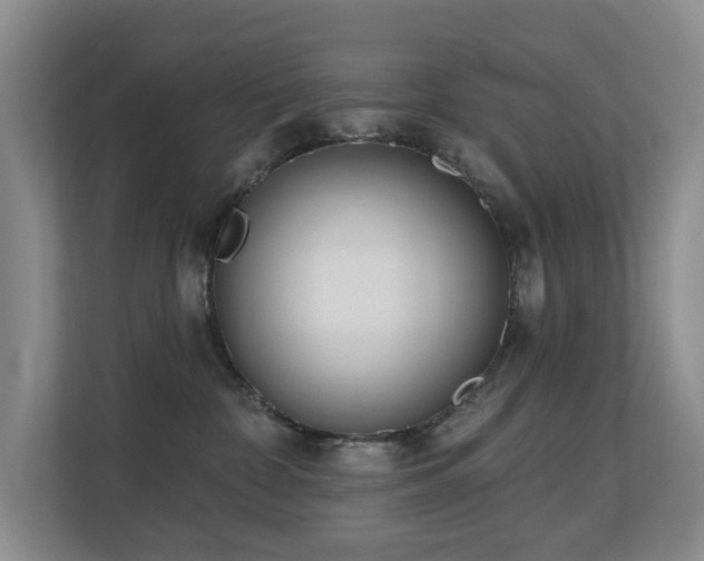 X0000110720332200906121433