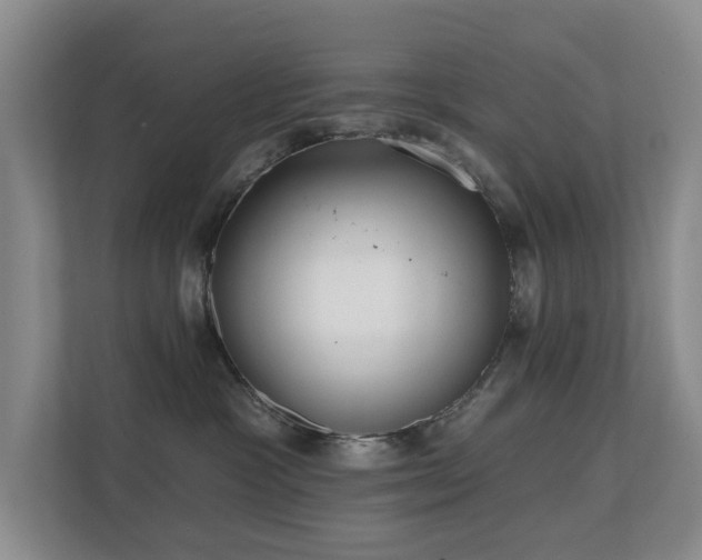 X0000110720333200906121433