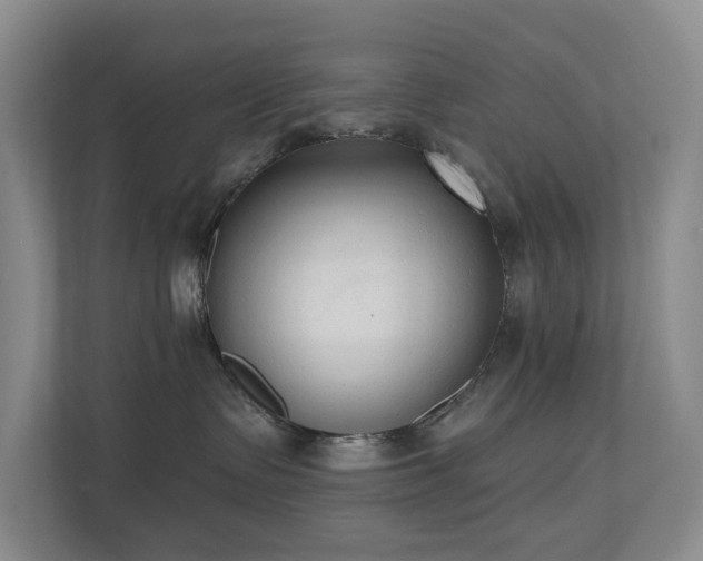 X0000110720335200906121433