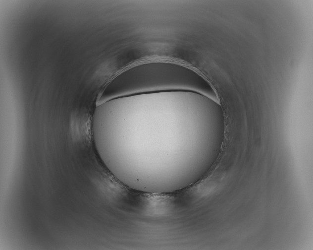 X0000110720336200906121433