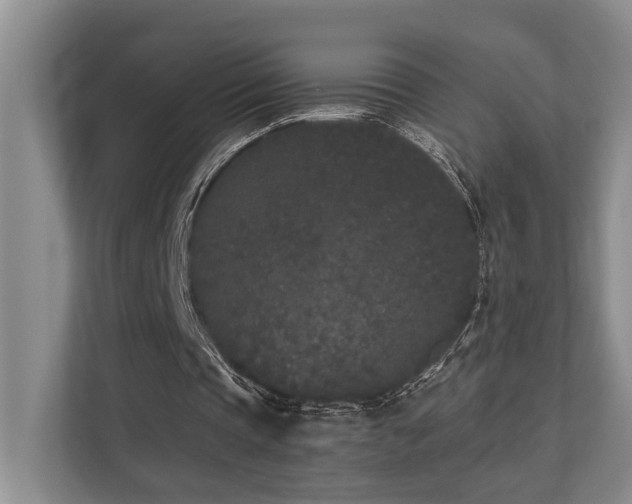 X0000110720337200906121432
