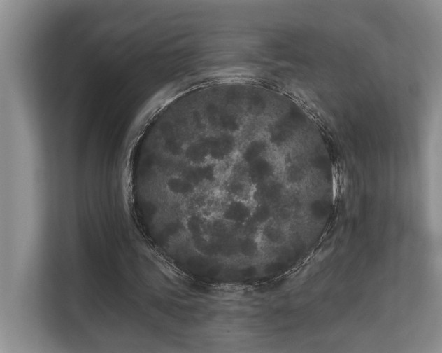 X0000110720339200906121432