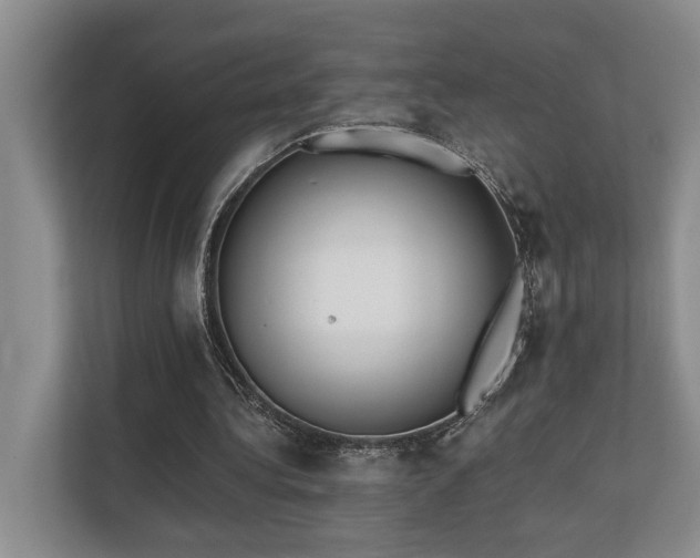 X0000110720340200906121432