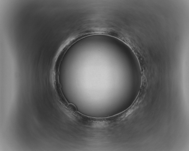X0000110720342200906121432