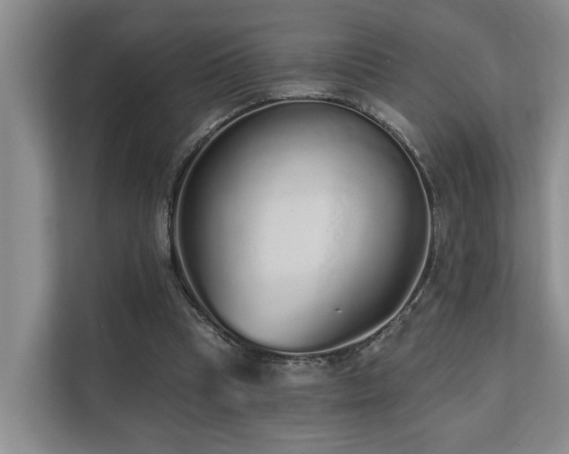 X0000110720345200906121432