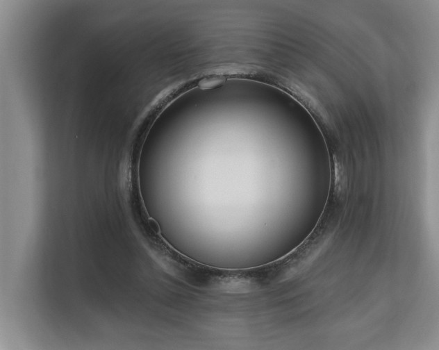 X0000110720348200906121432