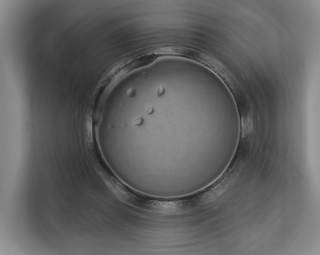 X0000110720349200906121432